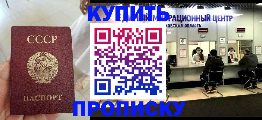 временная регистрация адрес в Бородино
